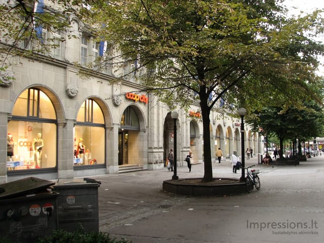 Zurich'o miesto vaizdai