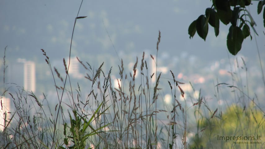 Zurich'o miesto vaizdai