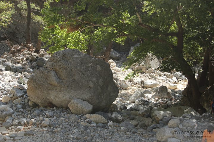 Samarijos tarpeklis Kretoje