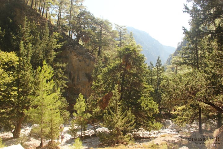 Samarijos tarpeklis Kretoje