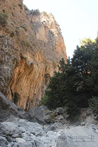 Samarijos tarpeklis Kretoje