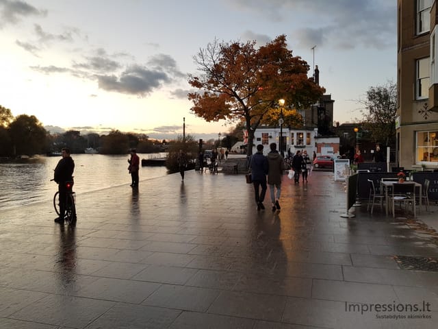 Richmond ir delfinas Temzėje