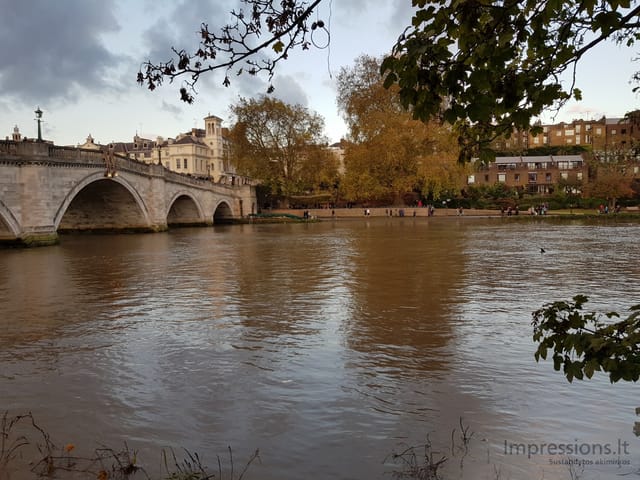 Richmond ir delfinas Temzėje