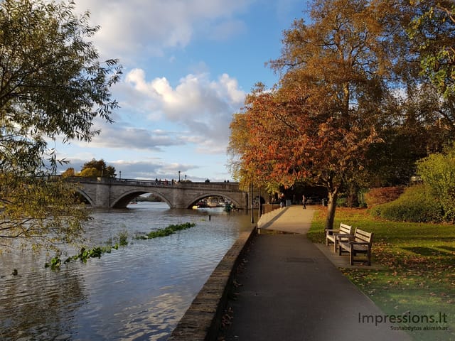 Richmond ir delfinas Temzėje