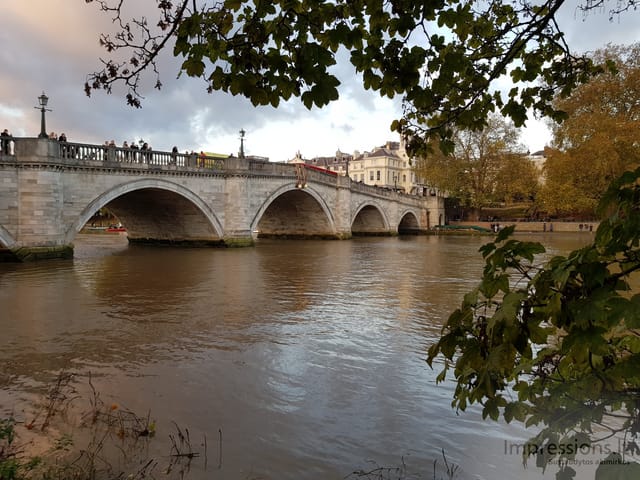 Richmond ir delfinas Temzėje