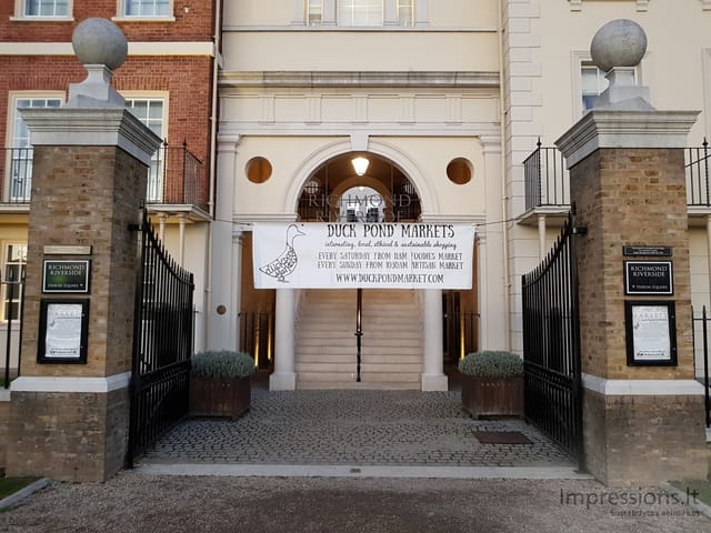 Richmond ir delfinas Temzėje
