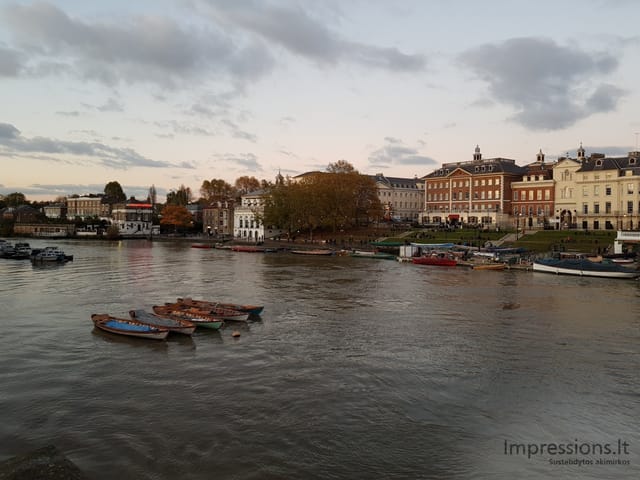 Richmond ir delfinas Temzėje