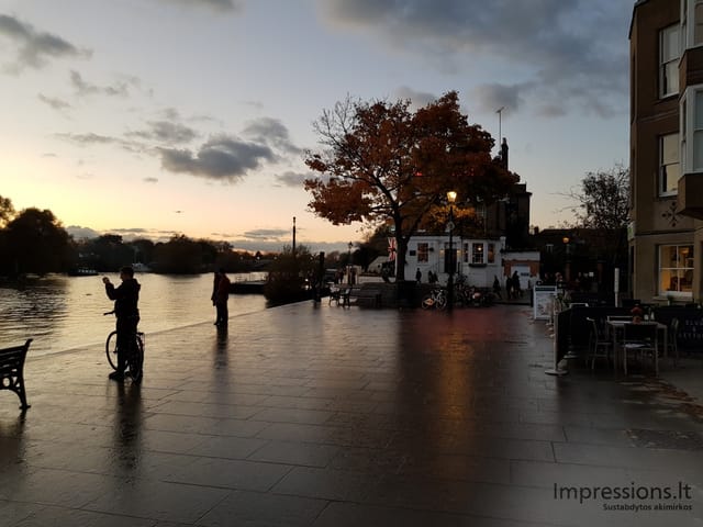 Richmond ir delfinas Temzėje