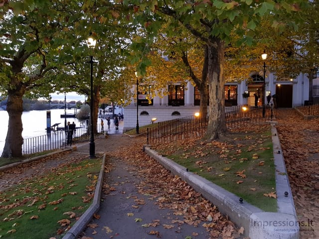 Richmond ir delfinas Temzėje