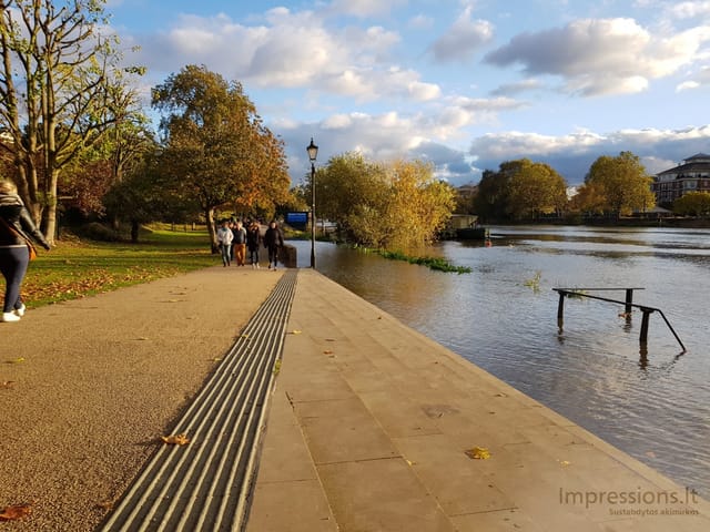Richmond ir delfinas Temzėje