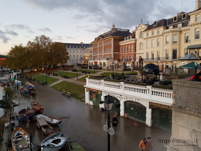 Richmond ir delfinas Temzėje