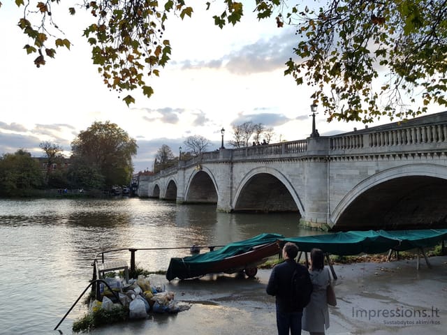 Richmond ir delfinas Temzėje