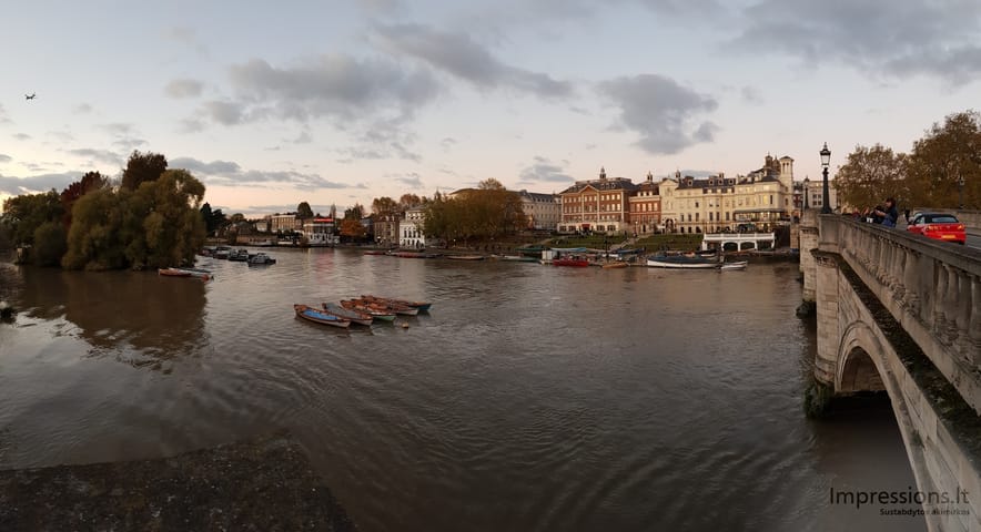Richmond ir delfinas Temzėje