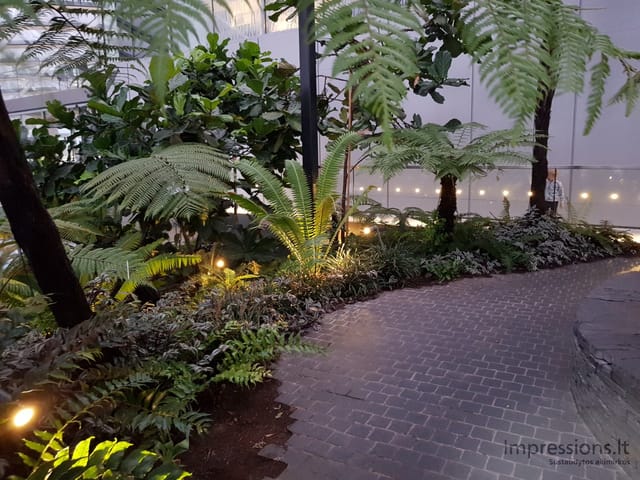 Saulėlydis SkyGarden