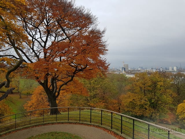 Ruduo Greenwich parke