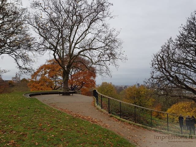 Ruduo Greenwich parke