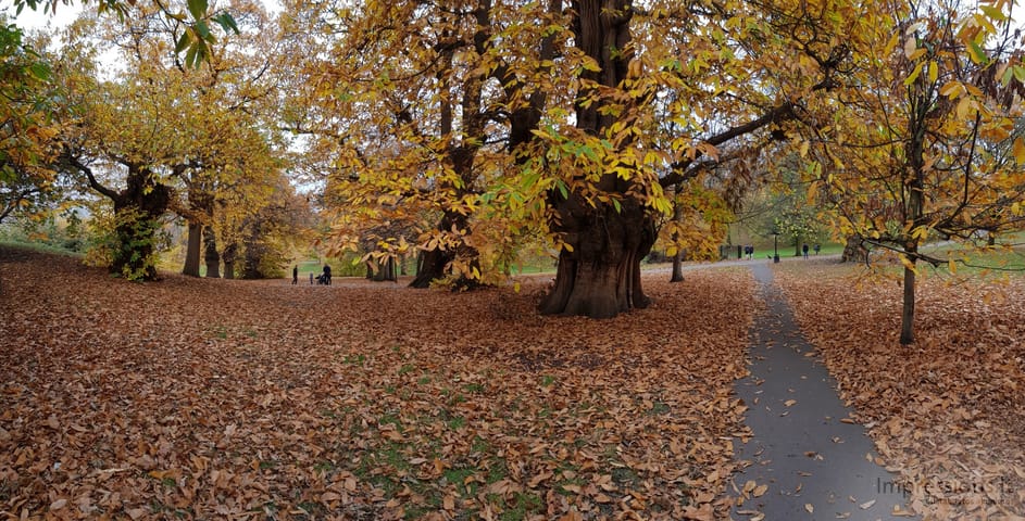 Ruduo Greenwich parke