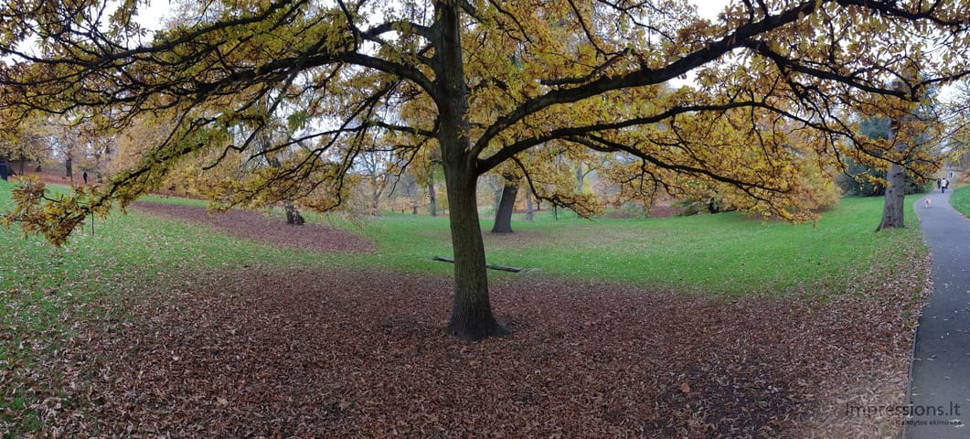 Ruduo Greenwich parke