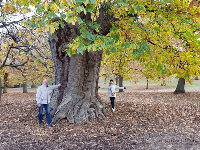 Ruduo Greenwich parke