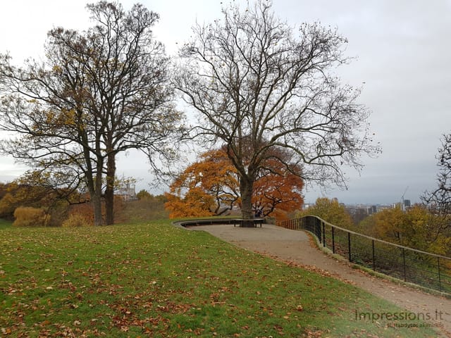 Ruduo Greenwich parke