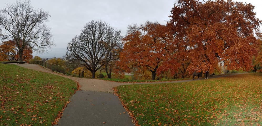 Ruduo Greenwich parke
