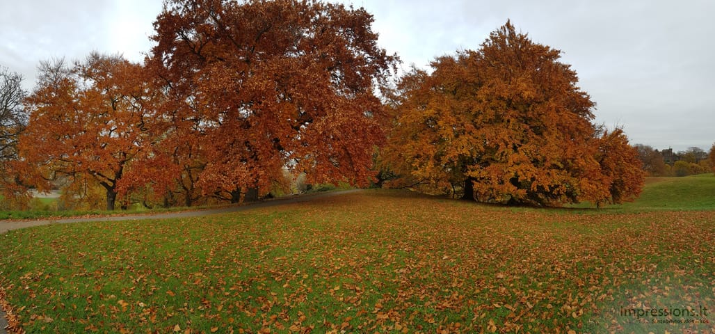 Ruduo Greenwich parke