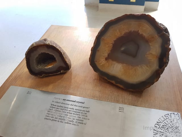 Gamtos istorijos muziejus Londone