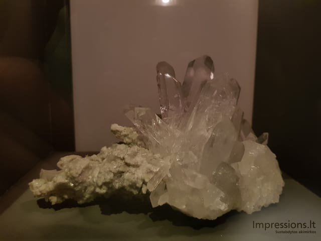 Gamtos istorijos muziejus Londone