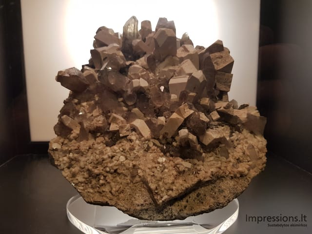 Gamtos istorijos muziejus Londone