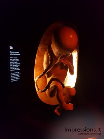 Gamtos istorijos muziejus Londone