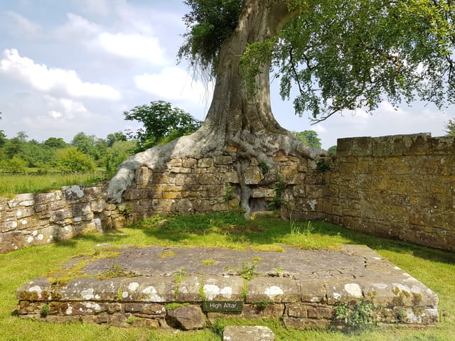 Bayhamo vienuolyno griuvėsiai