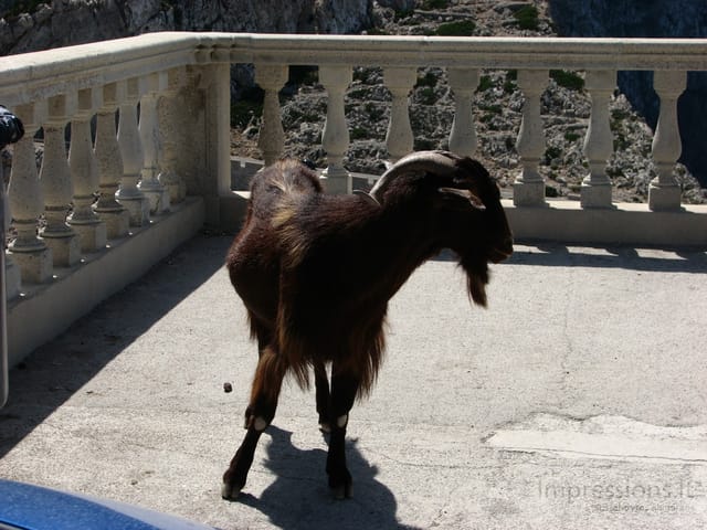 Maljorka: Cap de Formentor