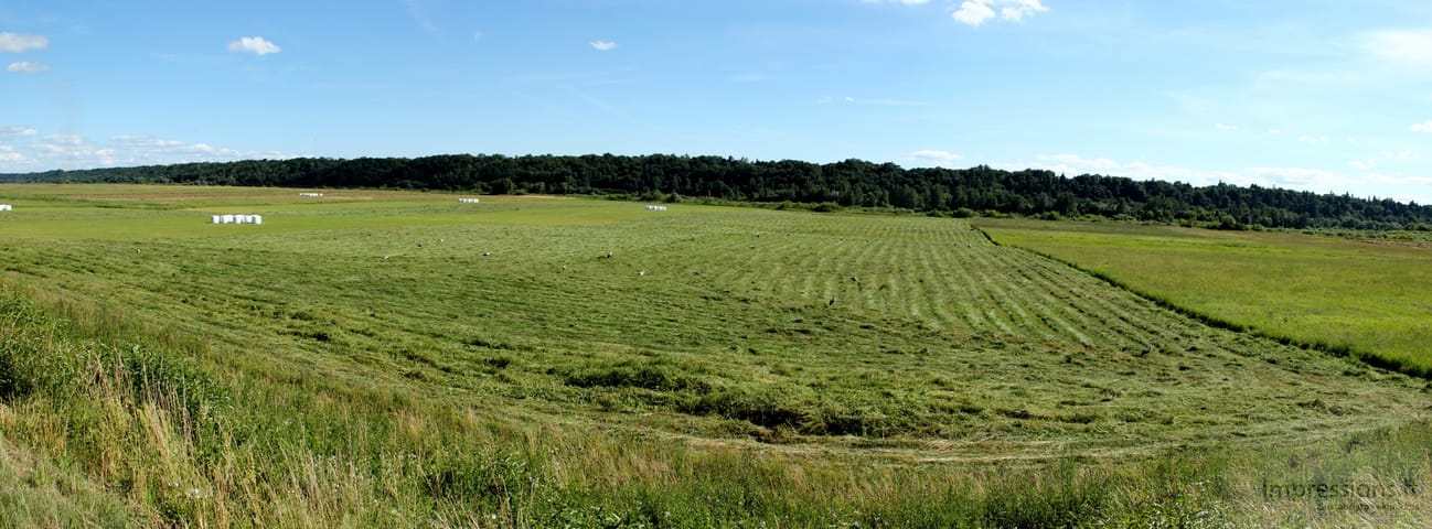 Lietuviška gamta
