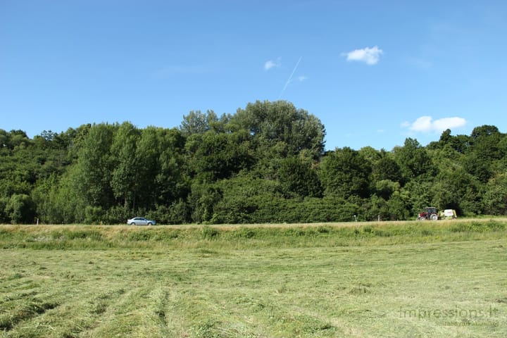 Lietuviška gamta