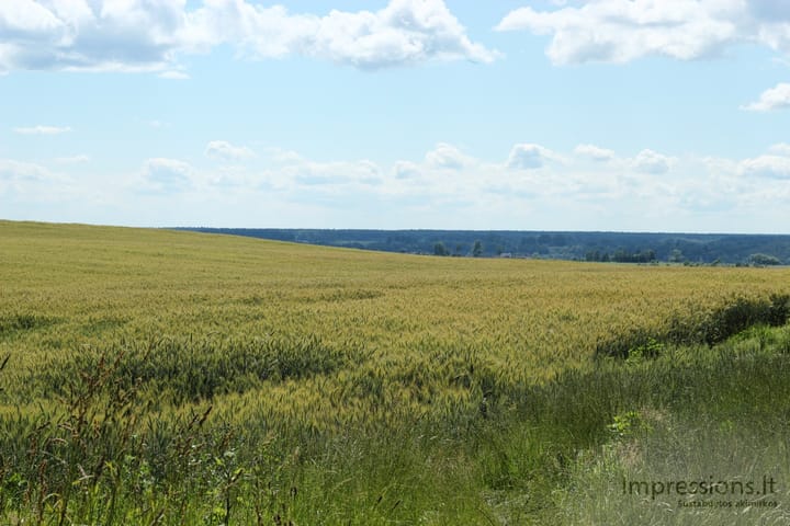 Lietuviška gamta