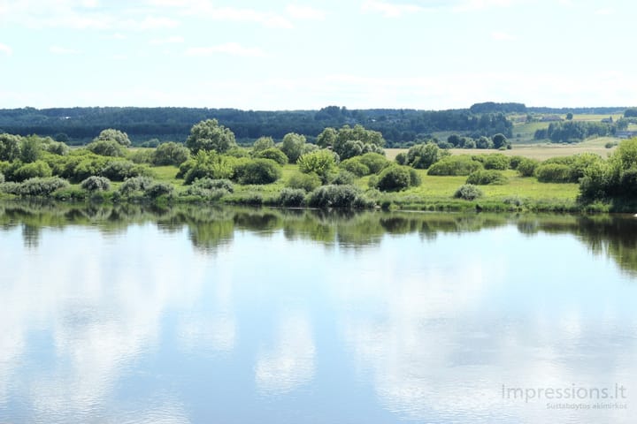 Lietuviška gamta