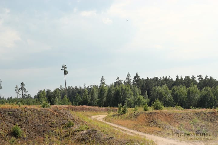 Lietuviška gamta