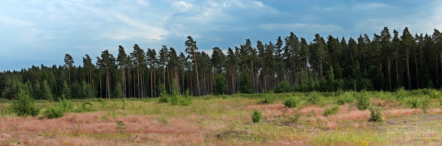 Lietuviška gamta