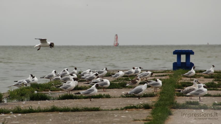 Neringos regioninis parkas