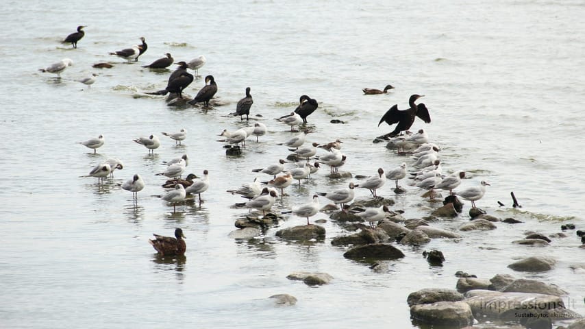 Neringos regioninis parkas