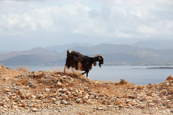 Kreta: Balos įlanka