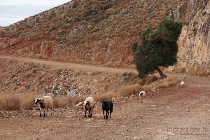 Kreta: Balos įlanka