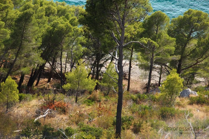 Makarska