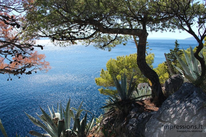 Makarska
