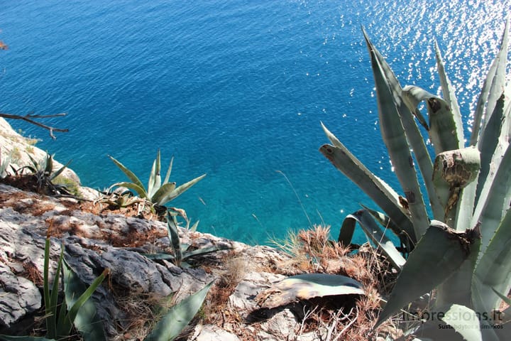 Makarska