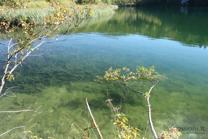 Skaidrusis Plitvicų ežerų vanduo