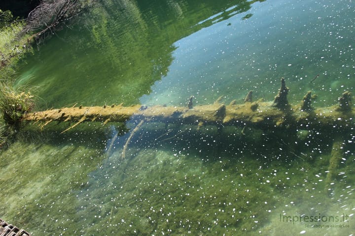 Skaidrusis Plitvicų ežerų vanduo