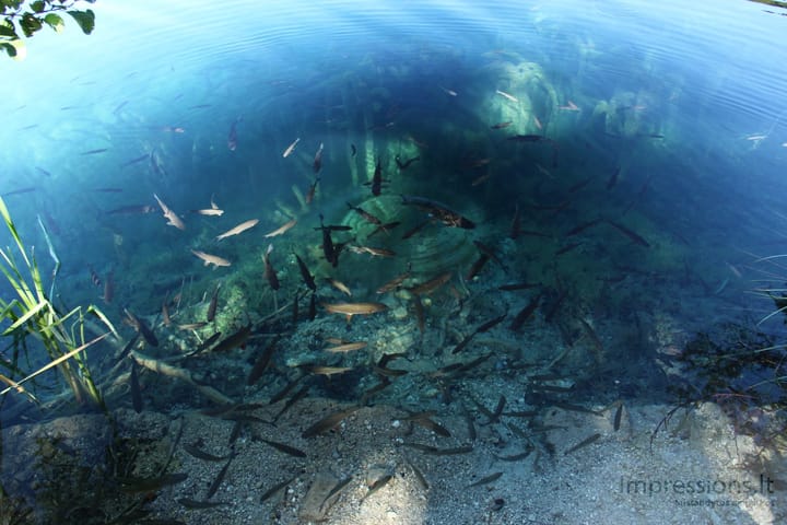 Skaidrusis Plitvicų ežerų vanduo