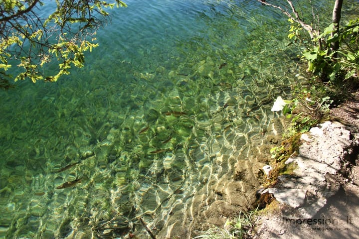 Skaidrusis Plitvicų ežerų vanduo