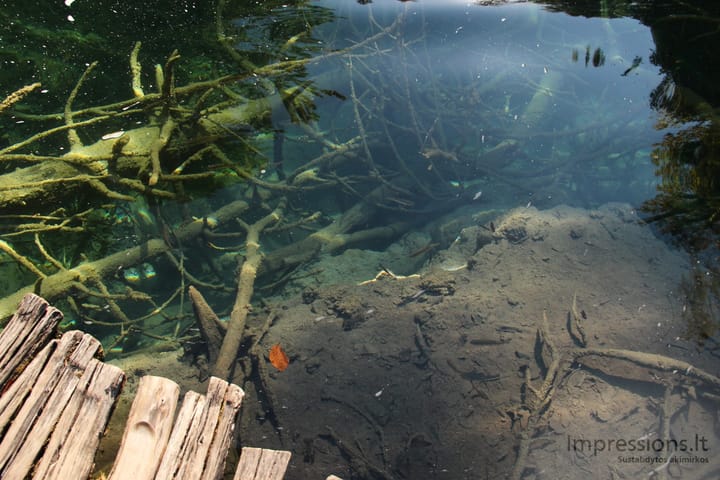 Skaidrusis Plitvicų ežerų vanduo